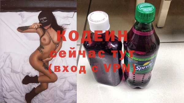 молекула духа Козловка