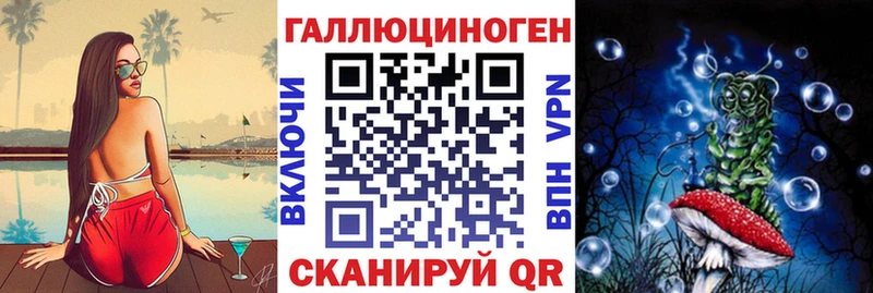 Купить где  Петровск-Забайкальский  Галлюциногенные грибы Psilocybe 